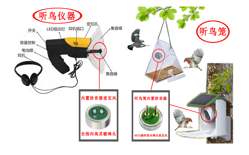 聽鳥儀器、聽鳥籠用麥克風(fēng)（咪頭）案例展示